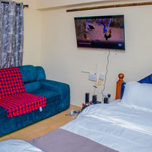 COZY STUDIO IN NANYUKI