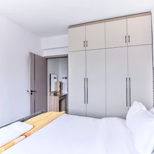 LAVISH ONE BEDROOM IN KILIMANI