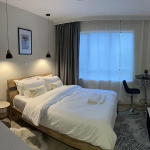 Studio Apartment in Syokimau