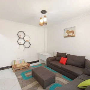 ONE BEDROOM APARTMENT - KIHUNGURO