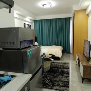 Studio apartment in kileleshwa