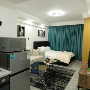 Studio apartment in kileleshwa