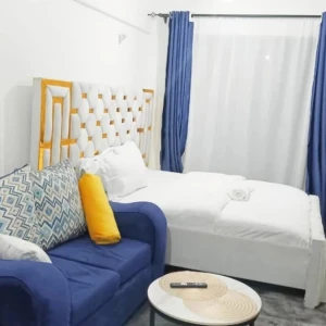 Fully Furnished Bedsitter in Nairobi West